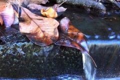 Stream Flow