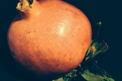 Orange Pomegranate