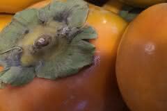 Orange Persimmon