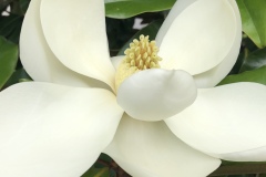 JPEG-image-389