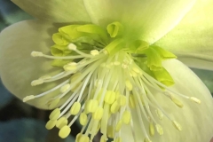 cropped-IMG_9371
