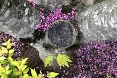 Tree Stump Puja